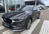 IMG_5534.JPEG