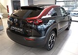 IMG_20250123_153011.jpg