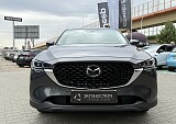 IMG_5995.JPG