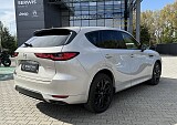 IMG_6369.JPG
