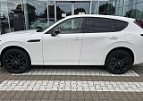 20250919_130341.jpg