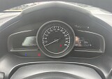 IMG_4974.JPG