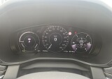 IMG_5269.JPG