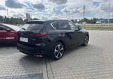 IMG_5163.JPG