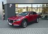 P1070233.JPG