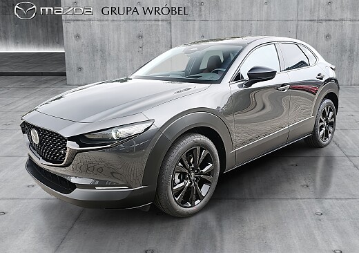 Mazda CX-30 - Kolor Machine Gray