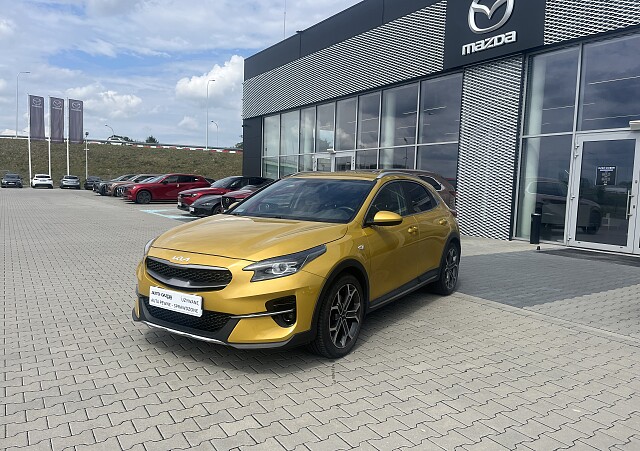 Kia XCeed - Kolor Złoty, zdjęcie 3