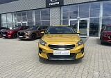 Kia XCeed - Kolor Złoty, zdjęcie 2