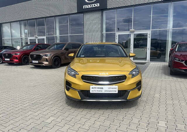 Kia XCeed - Kolor Złoty, zdjęcie 2