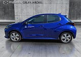 8_4de57552-e90d-409a-847b-4b8f41e78669_final_image (Large).jpg
