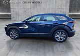 8_e49077c4-a9f0-4f54-855b-c1e10a537206_final_image (Large).jpg