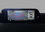 19_426117aa-6d15-44c0-b845-33e5630f778f_final_image (Large).jpg