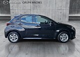 4_74e08642-7c68-40ac-b3dc-b870801b4d06_final_image (Large).jpg