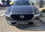 IMG_5452.JPEG