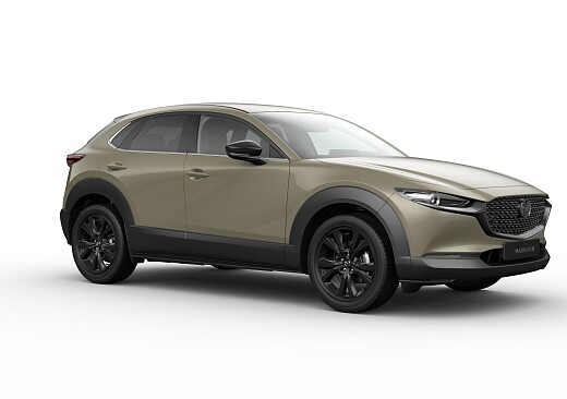 Mazda CX-30 - Kolor Zircon Sand Metalic