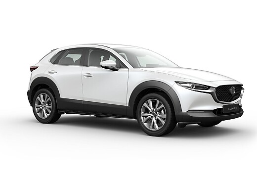 Mazda CX-30 - Kolor Snowflake White Pearl