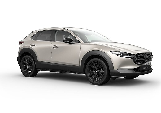 Mazda CX-30 - Kolor Platinum Quartz
