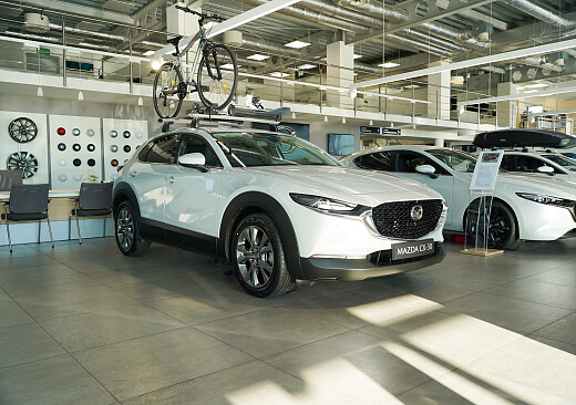 Mazda CX-30 - Kolor Ceramic Metalic