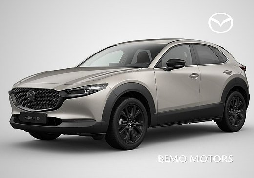 Mazda CX-30 - Kolor Platinum Quartz