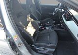 Skoda Scala - Kolor Srebrny, zdjęcie 21