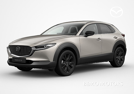 Mazda CX-30 - Kolor Platinum Quartz