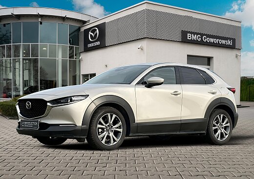 Mazda CX-30 - Kolor Platinum Quartz