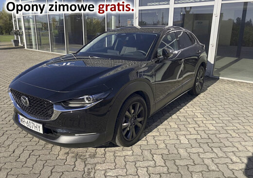 Mazda CX-30 - Kolor Ceramic Metalic