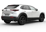 Mazda CX-30 - Kolor Snowflake White Pearl, zdjęcie 9