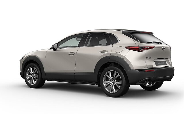 Mazda CX-30 - Kolor Platinum Quartz, zdjęcie 8
