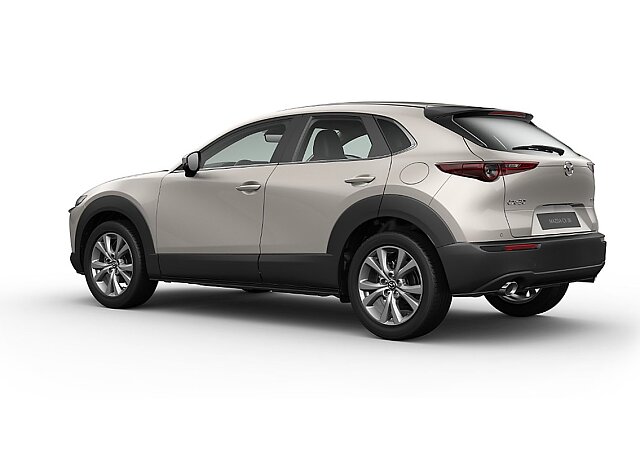 Mazda CX-30 - Kolor Platinum Quartz, zdjęcie 7