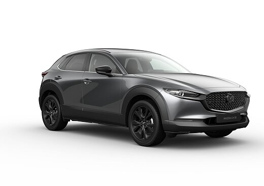 Mazda CX-30 - Kolor Machine Gray