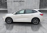 Ford Kuga - Kolor Biały, zdjęcie 8