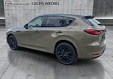 Mazda CX-60 - Kolor Zircon Sand Metalic, zdjęcie 7