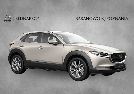 Mazda CX-30 - Kolor Platinum Quartz