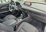 Mazda CX-30 - Kolor Platinum Quartz, zdjęcie 11