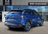 Renault Inny - Kolor Niebieski, zdjęcie 6