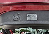 Ford Kuga - Kolor Czerwony, zdjęcie 10