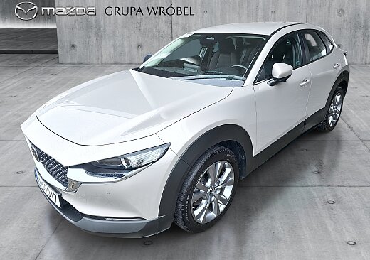 Mazda CX-30 - Kolor Platinum Quartz