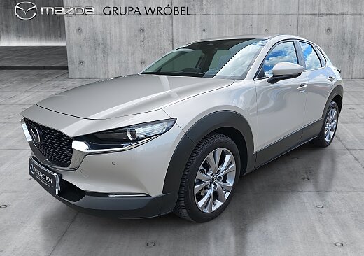 Mazda CX-30 - Kolor Platinum Quartz