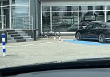 Mazda CX-30 - Kolor Machine Gray, zdjęcie 25