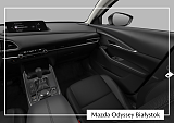 Mazda CX-30 - Kolor Platinum Quartz, zdjęcie 7
