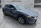 Mazda CX-30 - Kolor Polymetal Gray, zdjęcie 3