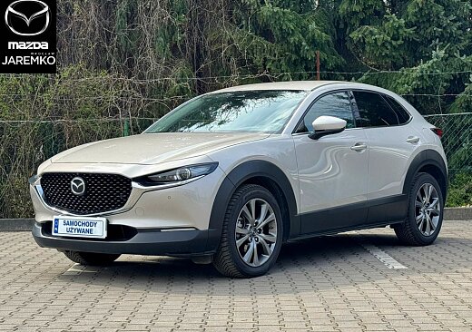 Mazda CX-30 - Kolor Platinum Quartz
