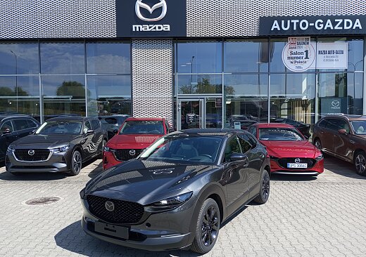 Mazda CX-30 - Kolor Machine Gray