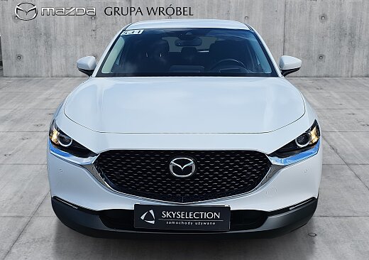 Mazda CX-30 - Kolor Snowflake White Pearl