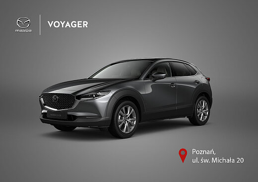 Mazda CX-30 - Kolor Machine Gray