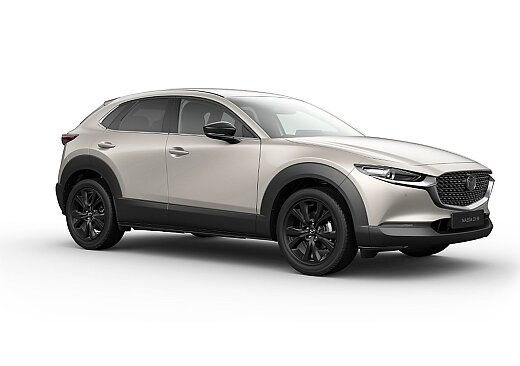 Mazda CX-30 - Kolor Platinum Quartz